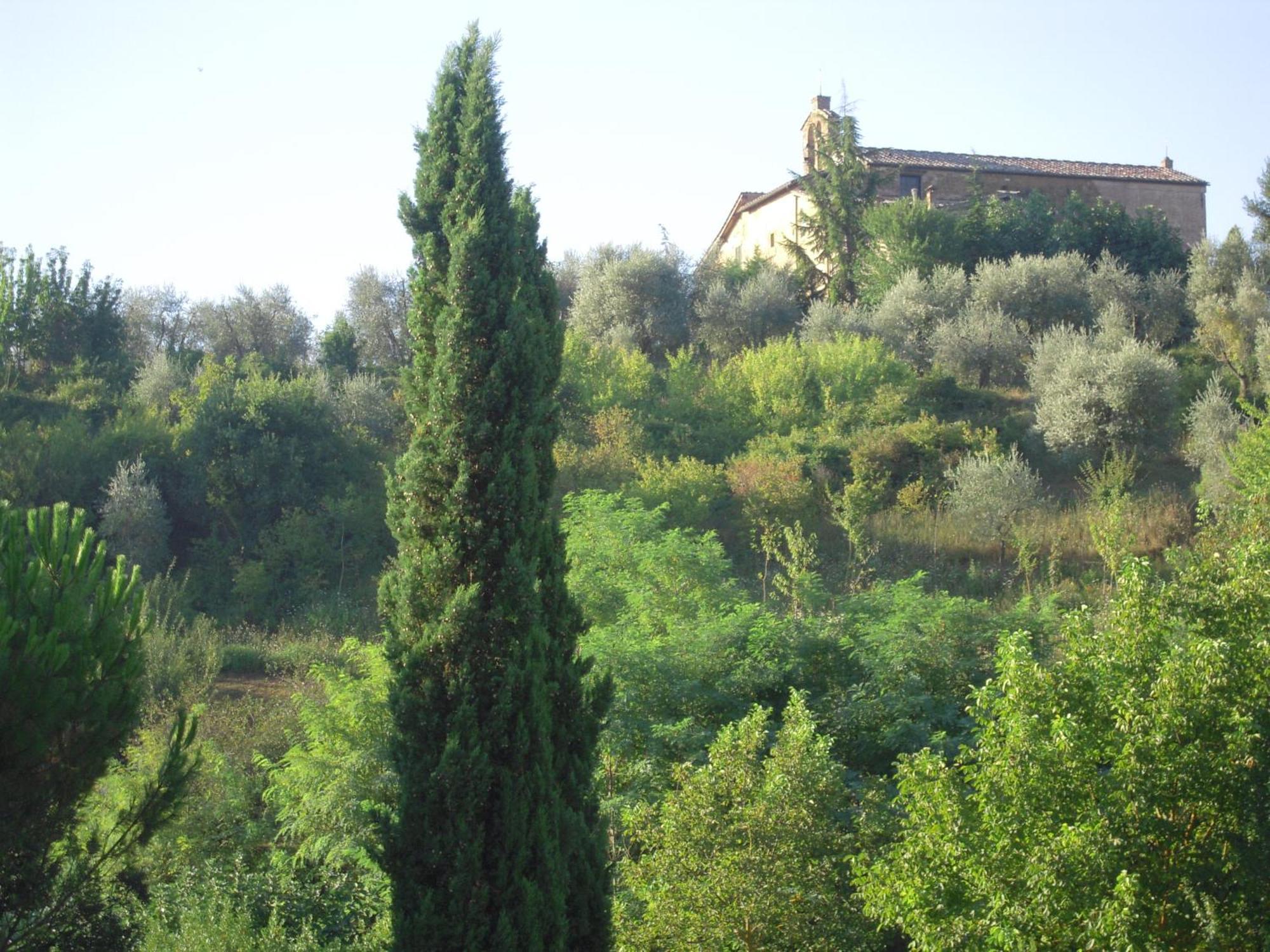 סיינה Villa Caprera חדר תמונה