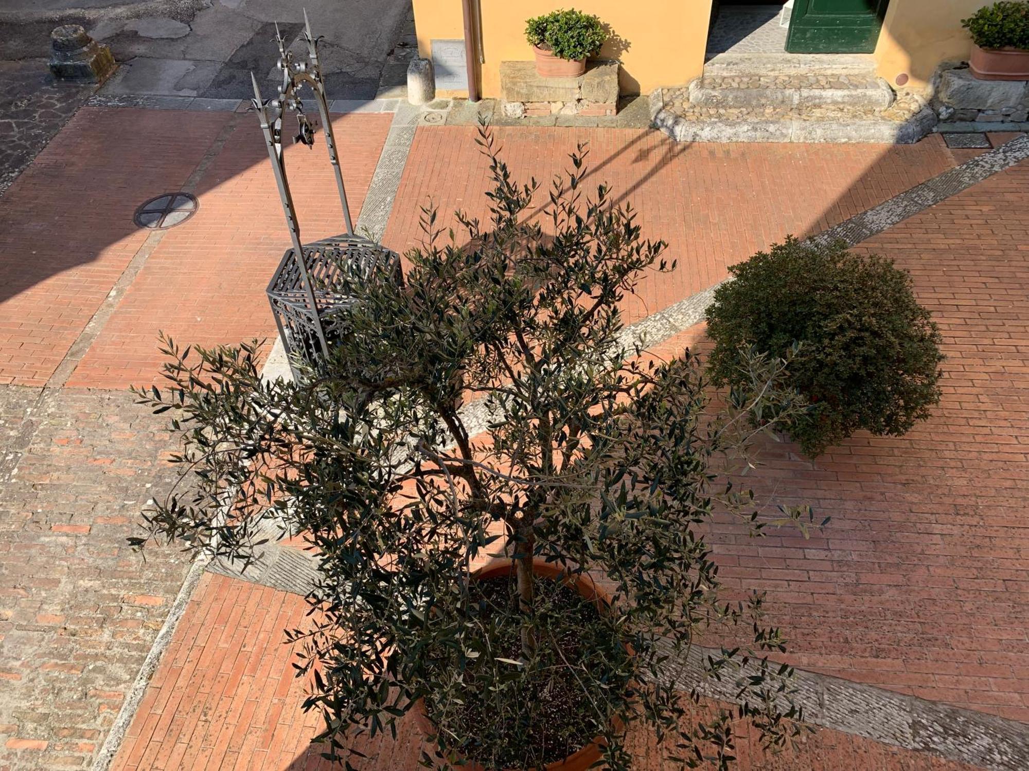 סיינה Villa Caprera חדר תמונה
