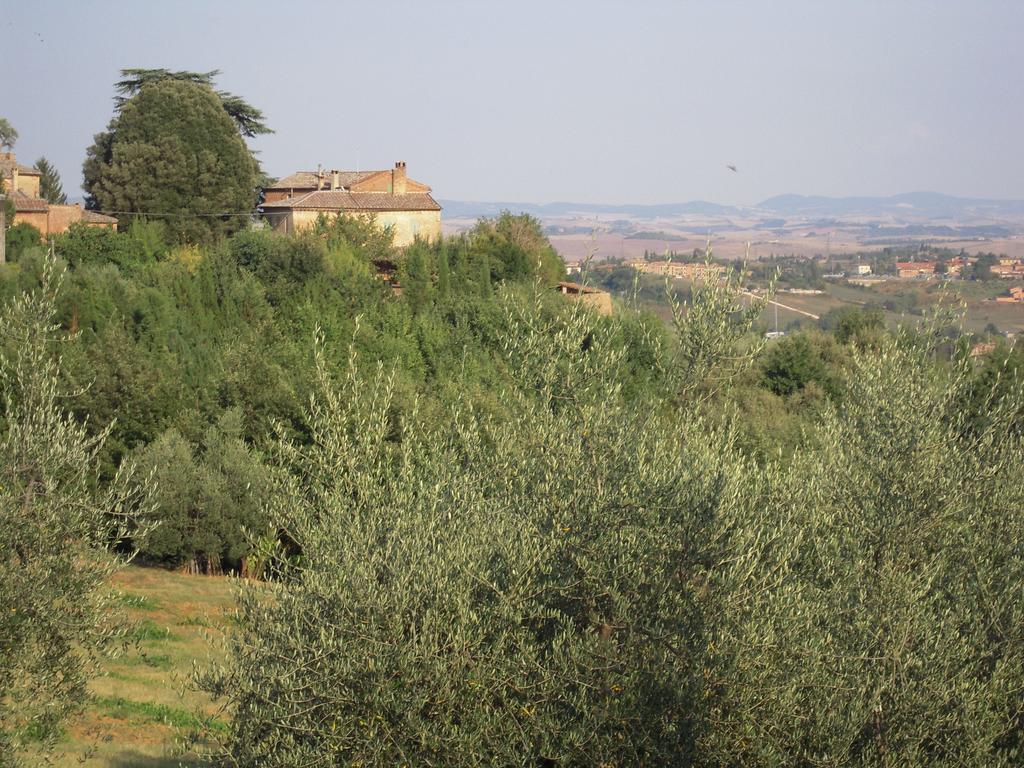 סיינה Villa Caprera מראה חיצוני תמונה
